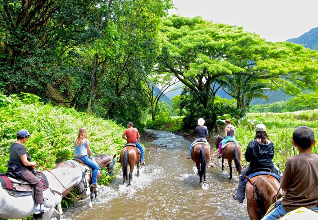 Horseback tour in Hawaii