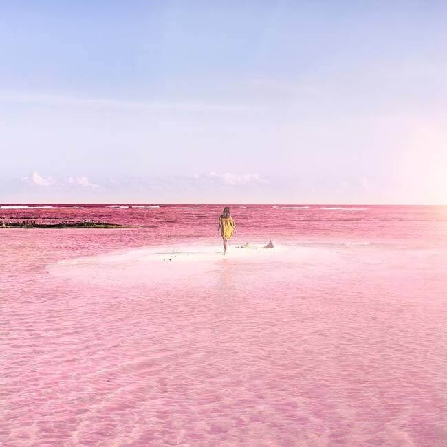 Las Coloradas Pink Lagoon